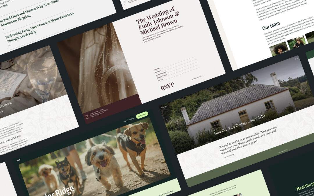 ASWP – Hot Off the Press: New WordPress.com Themes for August 2024