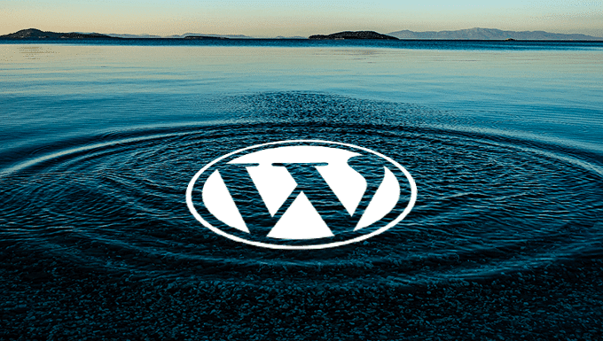 ASWP – Contributing to the WordPress Ecosystem: My Thoughts