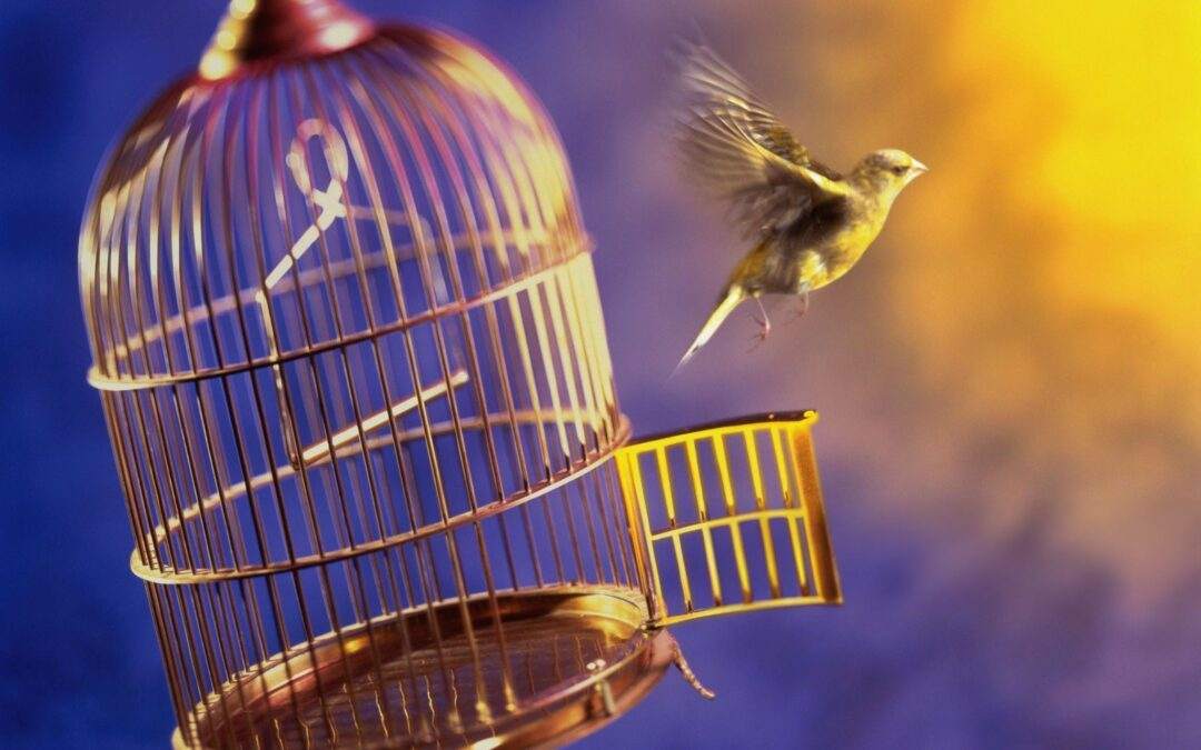 ASWP – The Value of Expertise and Autonomy in the Workplace